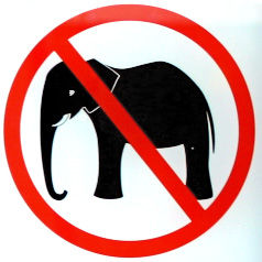 No_Elephants